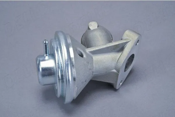 EGR Valve (210046410)