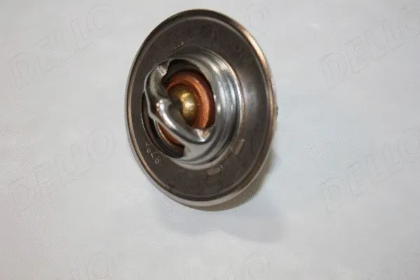 Thermostat, coolant (160047110)