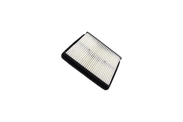 Air Filter (250052410)