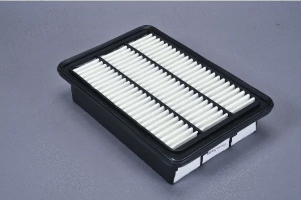 Air Filter (180072310)