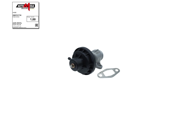 EGR Valve
