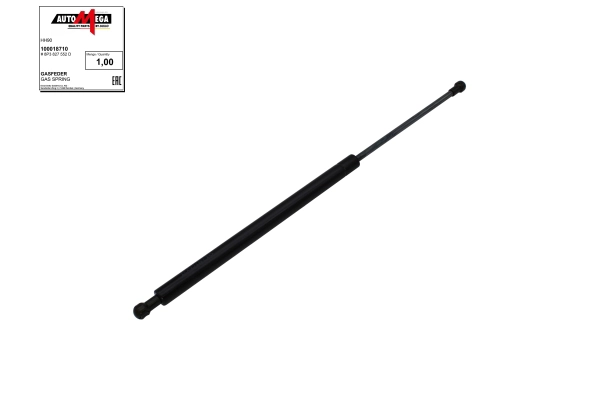 Gas Spring, boot/cargo area (100018710)