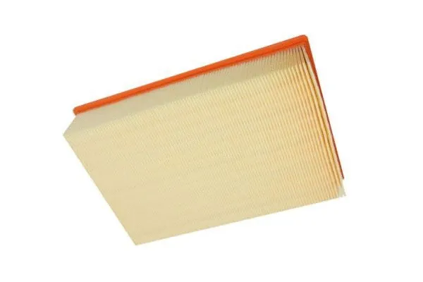 Air Filter (180018310)