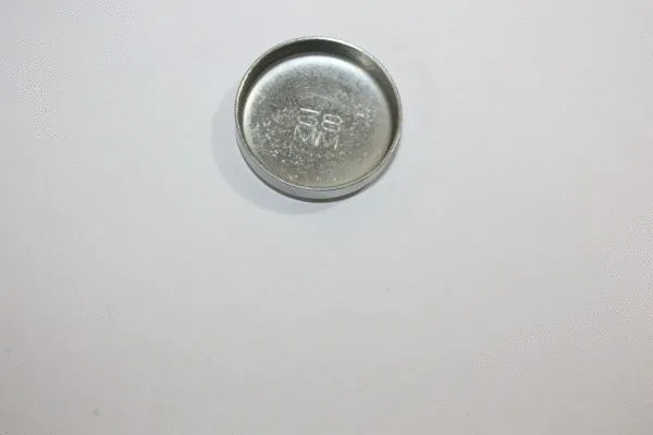 Frost Plug (130034310)