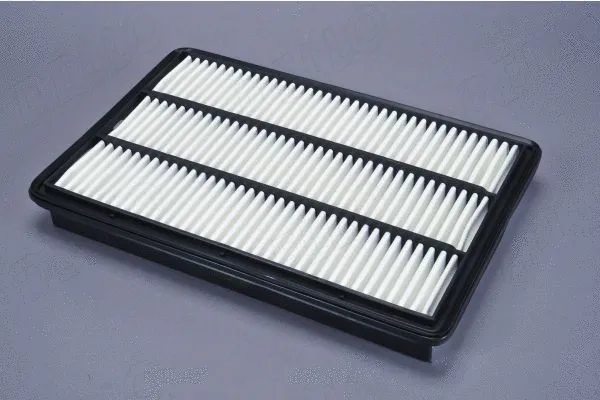Air Filter (180074810)