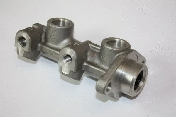 Brake Master Cylinder (120077910)