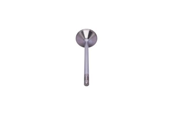 Intake Valve
