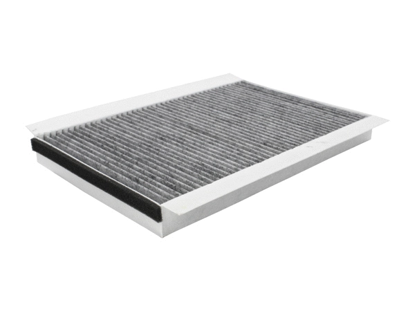 Filter, cabin air (180049610)