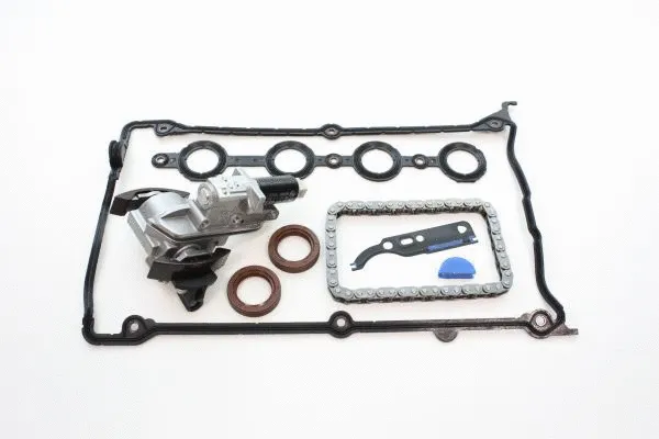 Timing Chain Kit (130009110)