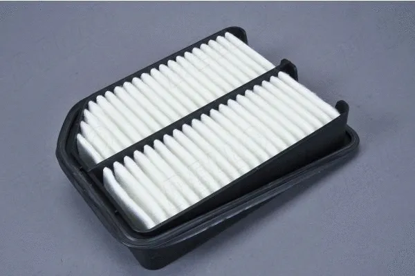 Air Filter (180071010)