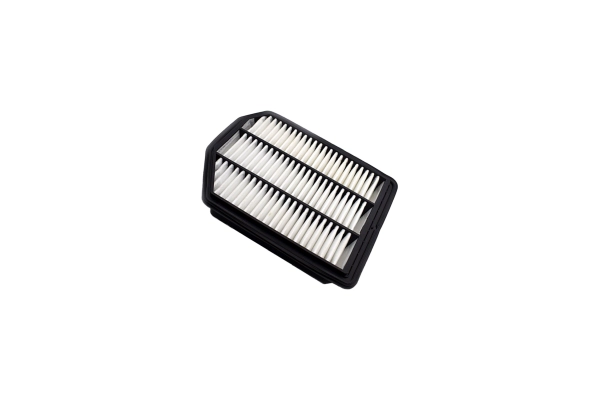 Air Filter (250052310)