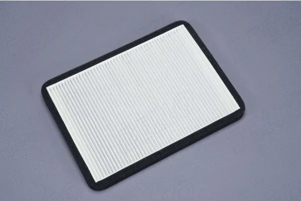 Filter, cabin air (180000610)