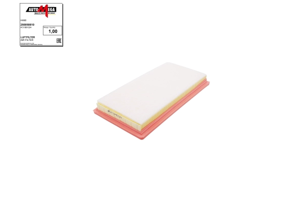 Air Filter (250050810)