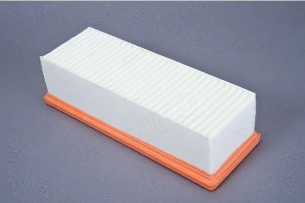 Air Filter (180072210)