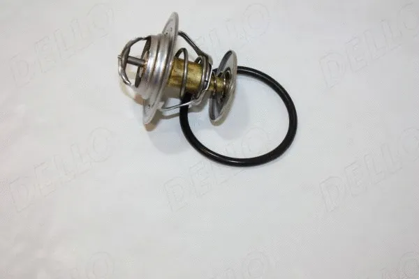 Thermostat, coolant (160047210)