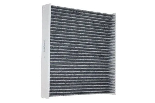 Filter, cabin air (180005410)