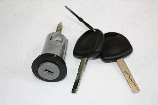 Lock Cylinder, ignition lock (100082510)