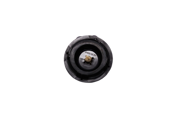 Cap, coolant tank