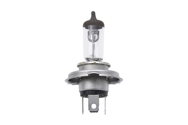 Bulb, headlight (150112610)