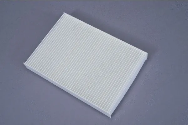 Filter, cabin air (180000210)