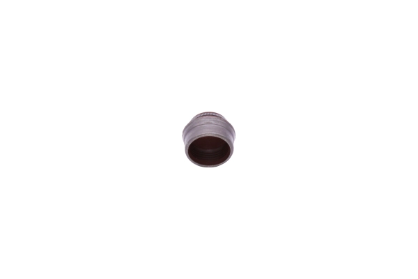 Seal Ring, valve stem
