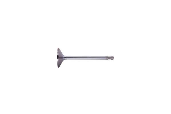 Intake Valve