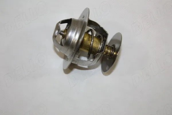 Thermostat, coolant (160020310)