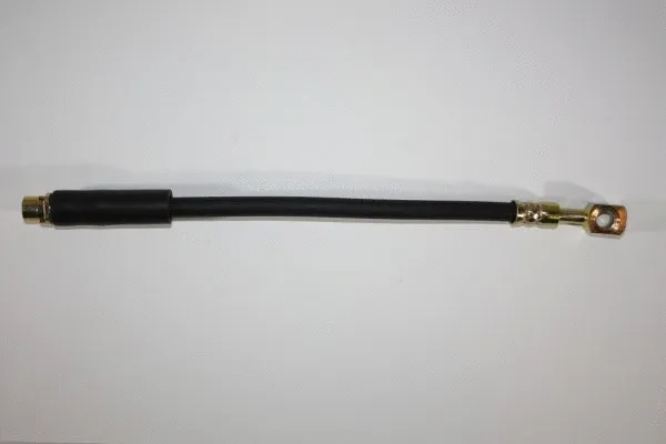Brake Hose (120078710)