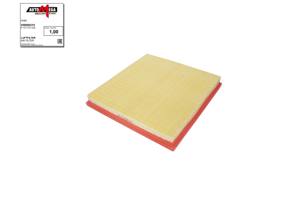 Air Filter (250050310)
