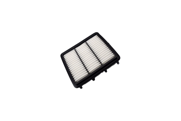 Air Filter (250052910)