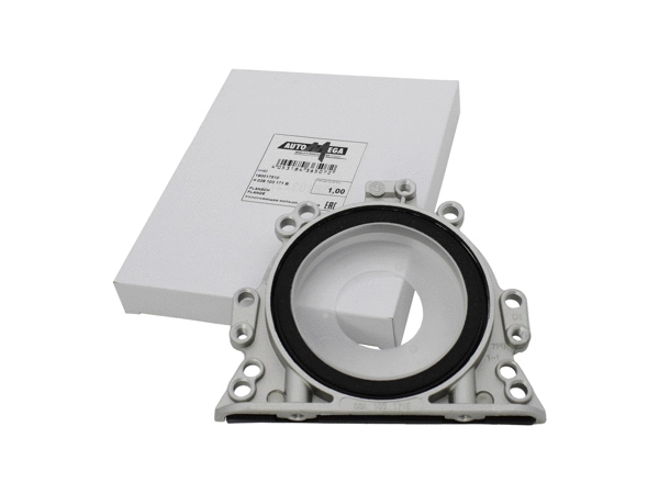 Shaft Seal, crankshaft (190017510)