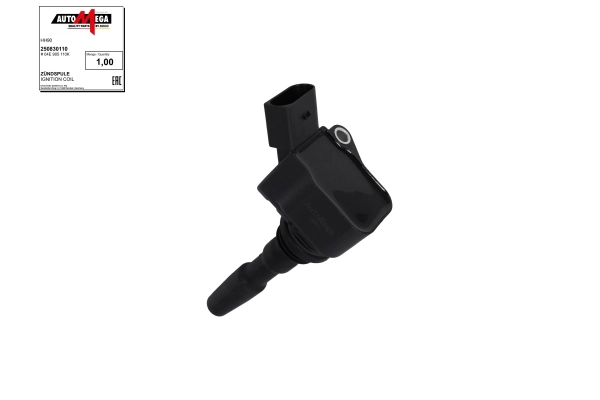Ignition Coil (250830110)