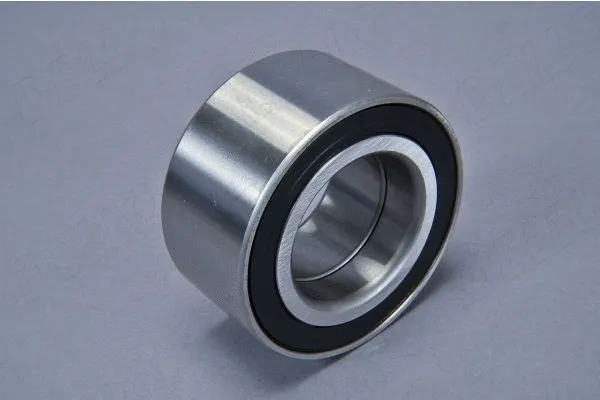 Wheel Bearing (110060110)