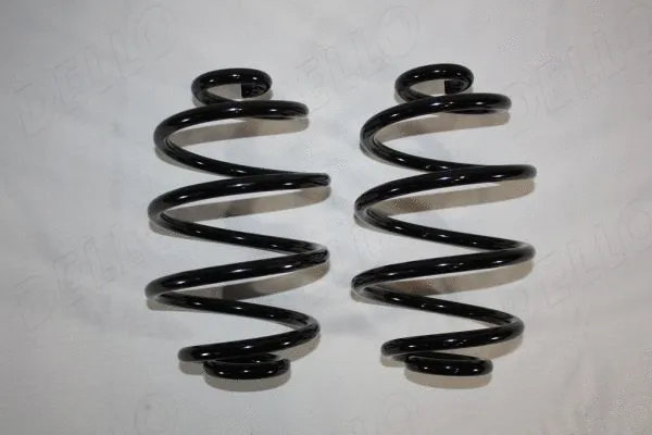 Suspension Spring (110179110)