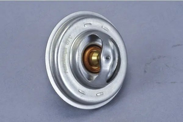 Thermostat, coolant (160032710)