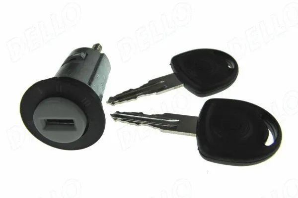 Lock Cylinder, ignition lock (100082910)