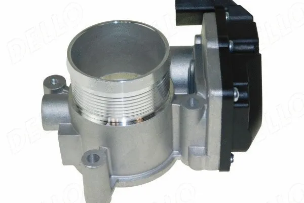 Throttle Body (210785310)