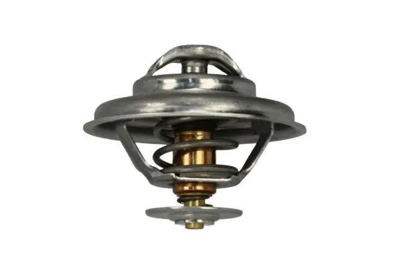 Thermostat, coolant (160021210)