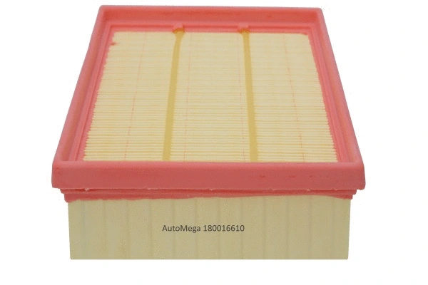 Air Filter (180016610)