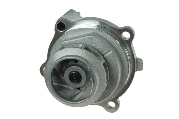 Water Pump, engine cooling (160007510)
