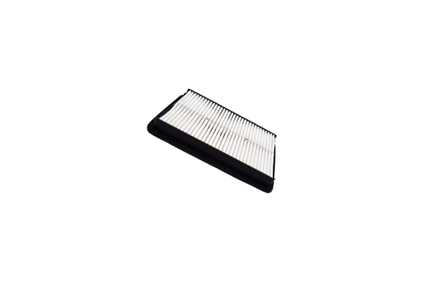 Air Filter (250052010)