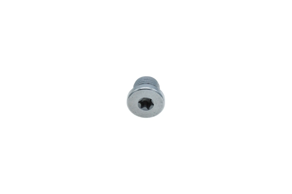 Screw Plug, oil sump