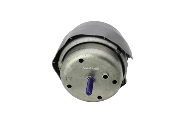 Mounting, engine (130059210)