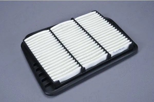 Air Filter (180069010)