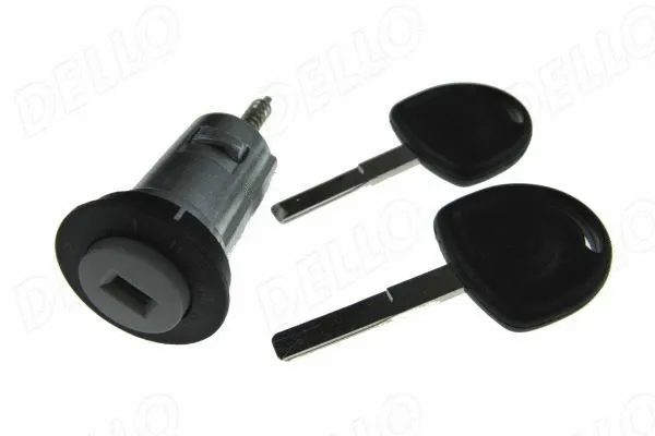 Lock Cylinder, ignition lock (100082610)