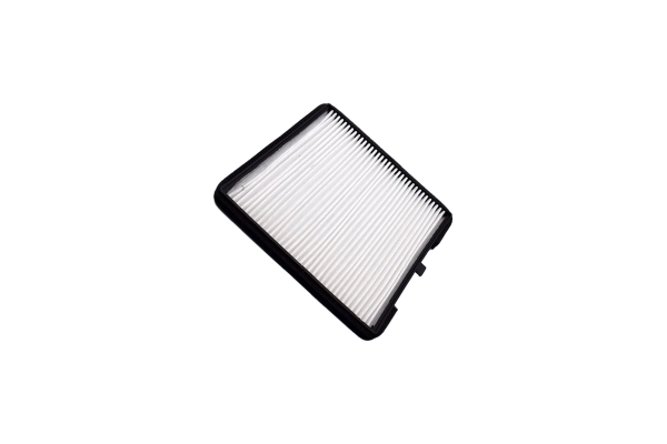Filter, cabin air (250201910)