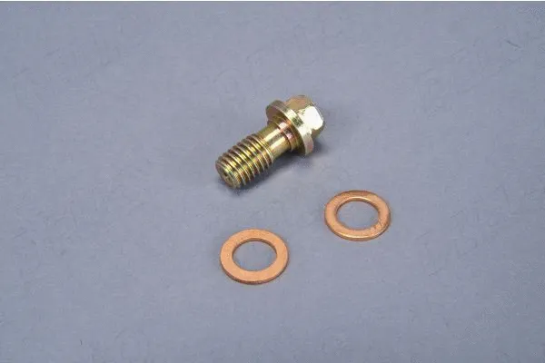 Brake Hose (120025810)