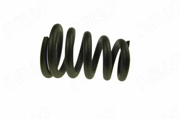 Spring, exhaust pipe (140025110)