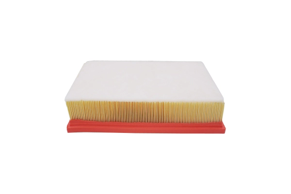 Air Filter (246783710)