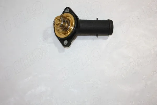 Thermostat, coolant (160047910)